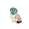 SMART COLLAR™
